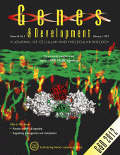 Genes & Development. 26:247-258, 2012 (Cover)