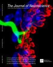 Journal of Neuroscience 15 October 2014, 34 (42