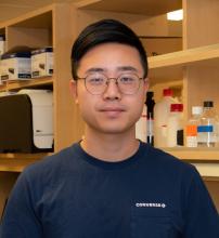 Ren_Xiao_Xiong Lab_crop