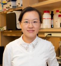 Yao_Lingling_Xiong Lab_crop