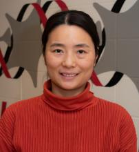 Zhang_Haina_Xiong Lab_crop