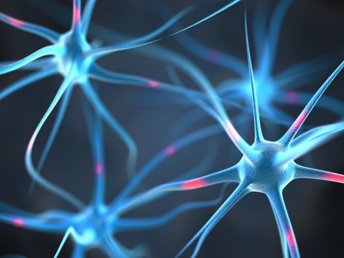 Neuron Picture