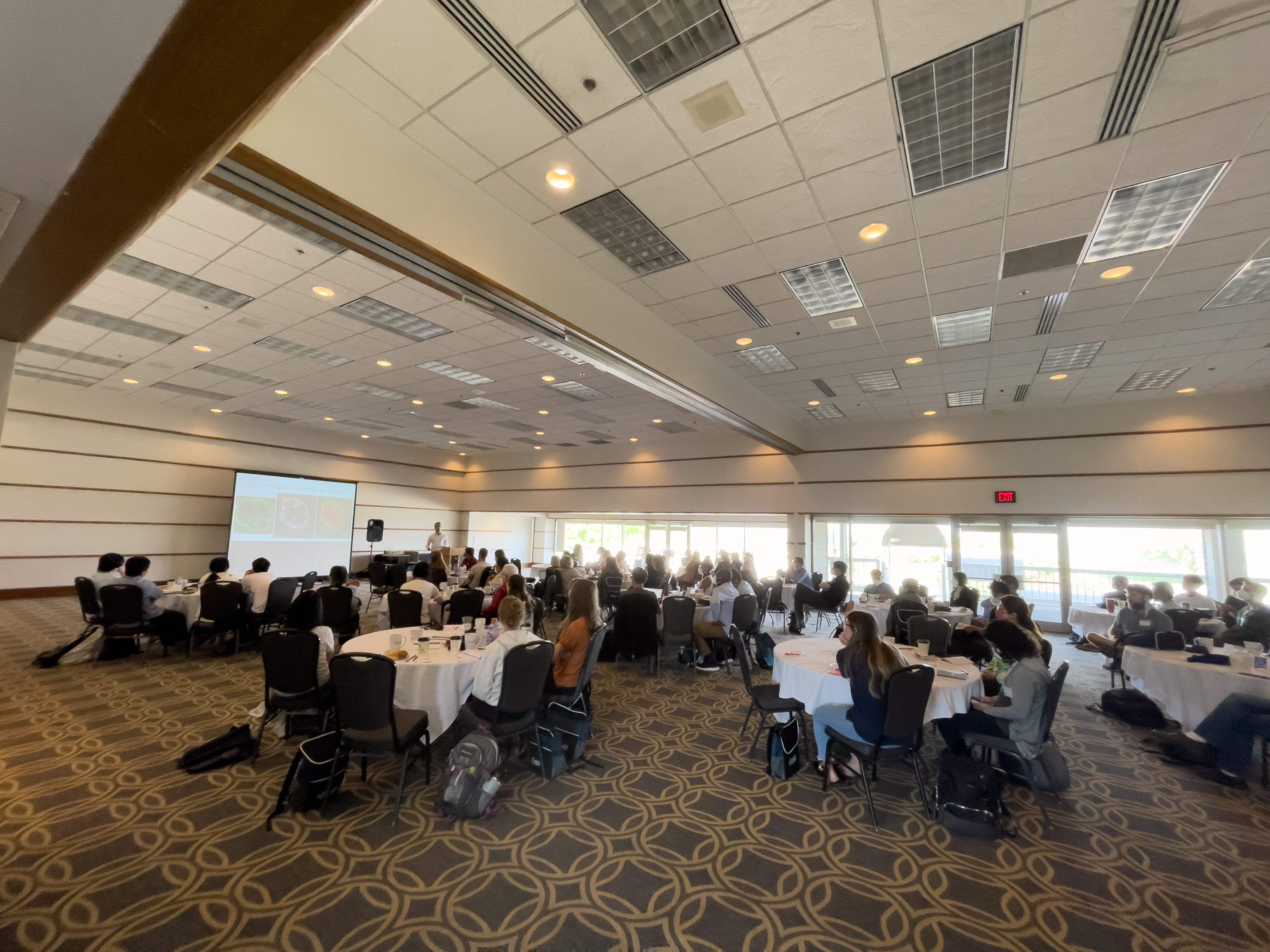 People sitting in a conference room and listening the speech