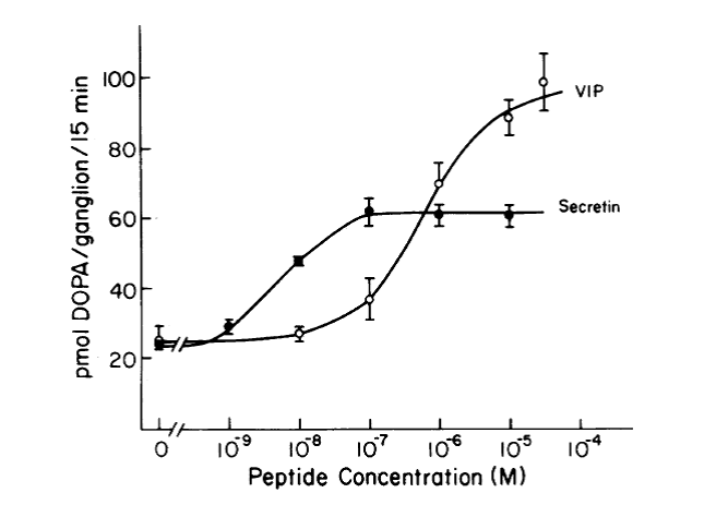 graph with x-axis peptide concentration (M) from 0 to 10 to the power of -9,-8,-7,-6,-5,-4. y-axis pmol DOPA/ganglion/15min from 20,40,60,80,100 with 2 lines, one Secretin, other VIP. Concentration-response curve for the stimulation of TH activity by secretin and VIP. Ganglia were preincubated with peptide for 60 min prior to addition of a dopa decarboxylase inhibition. Dopa accumulation was measured during the subsequent 15 min.