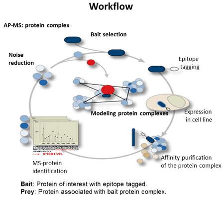 Quantitative Proteomics | Nutrition | Case Western Reserve University