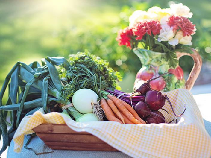 Image of brown wood square serving dish covered with white and yellow checkered cloth, on which are onions, carrots and beets with stems on, and an egg, behind which is a pitcher deocarated with apples, ,greens and browns, which contain red and white flowers. There is a green field and bright sun in the background