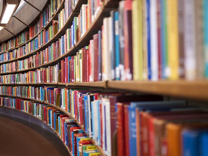 Image of wall of five shelves contains books of various colors, with brown carpet, white overhead lights and a white ceiling