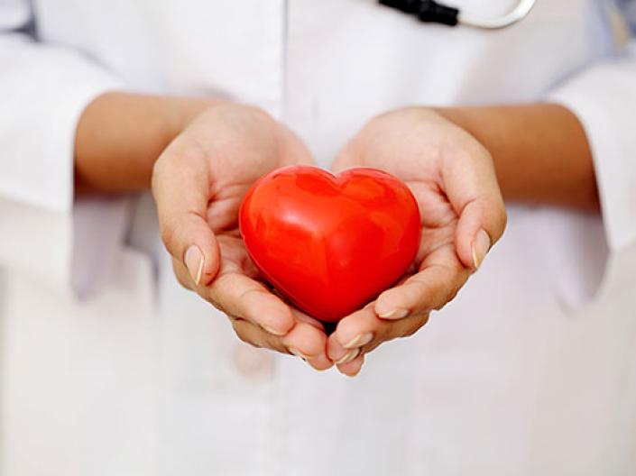 Image of midline view of medical professional with white lab coat and stethescope holding a red heart in his or her hands