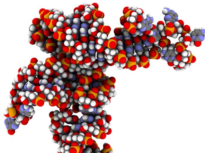 Image of protien molecular arrangement using a space filling model with blue, red, white and orange colors to differentiation 