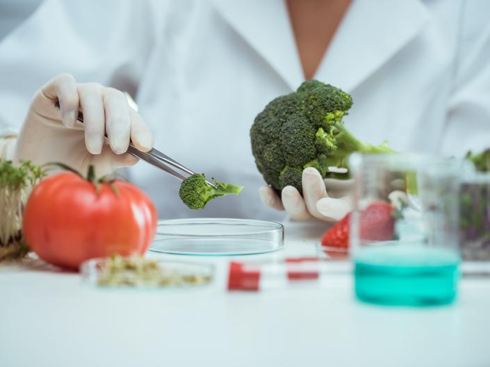 Food scientist examining vegetables on a petri dish