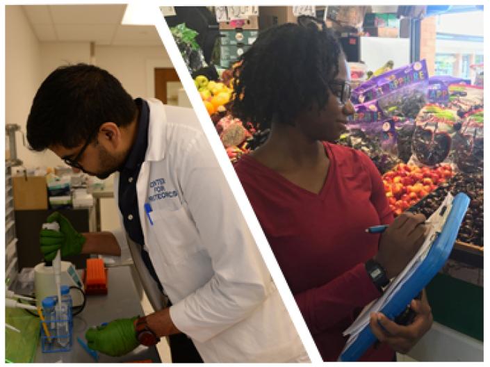 Composite photo of a student doing lab research and a student documenting produce in a grocery store.