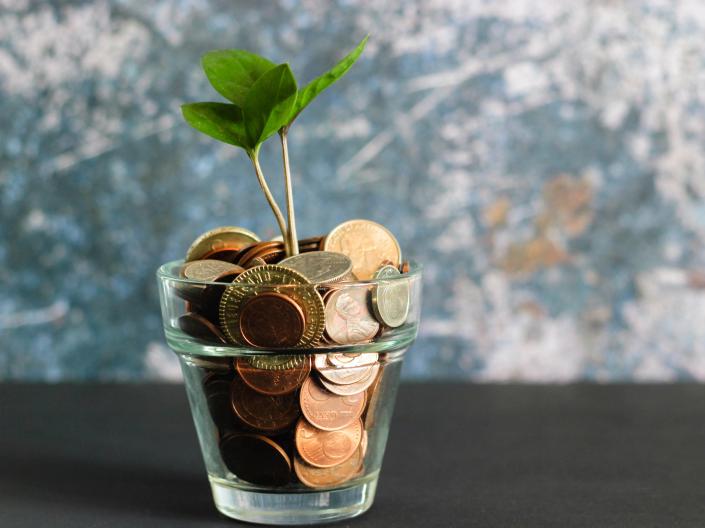 Image of a glass flower pot filled with coins with a small green plant growing out of the top.