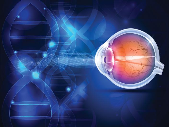 3D illustration of an eyeball