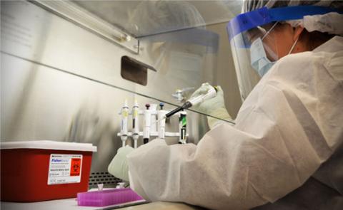 Student working in a lab under a fume hood