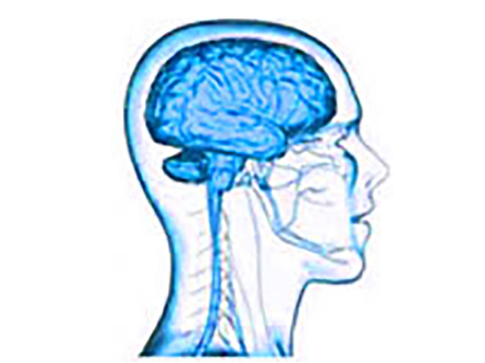 profile_logo_brain
