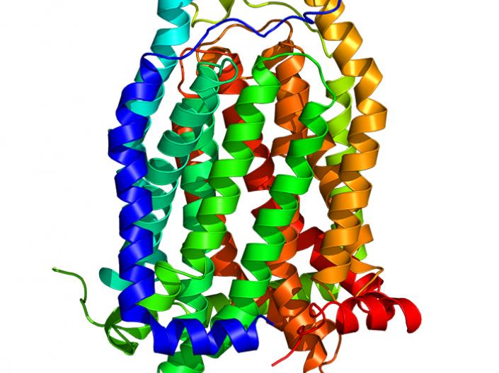 3D model of an unknown molecule