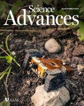 Cover of Science Advances Publication for December 2024