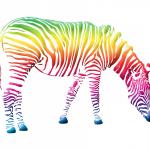 Rainbow Colored Zebra