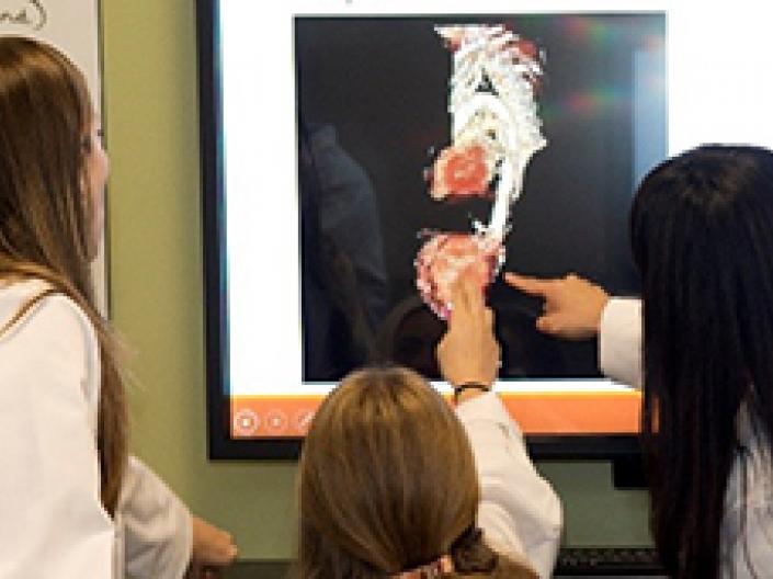 Doctors looking at an x-ray.