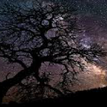 In Memorium, photo of Mary Garrity against night sky