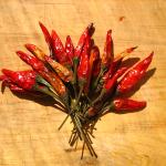 bouquet of chili peppers
