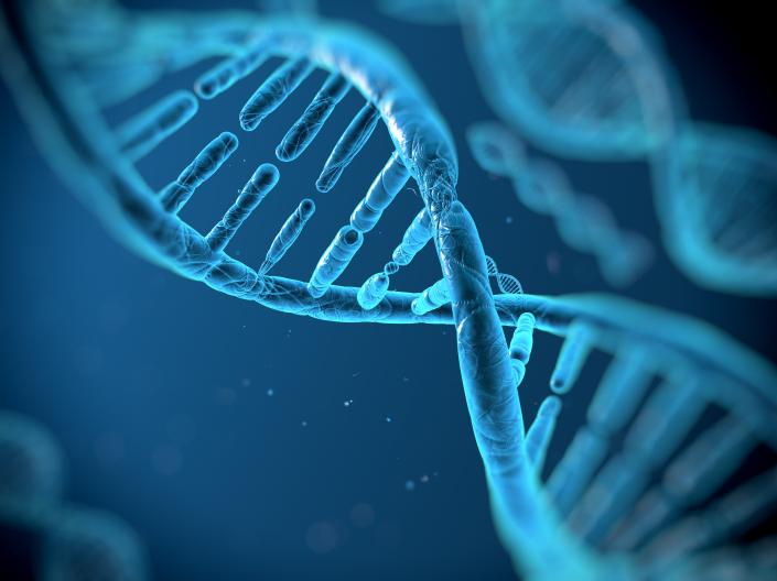 DNA