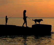 Image of Lake Erie.