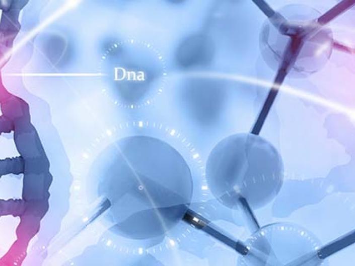 Image of DNA strands.