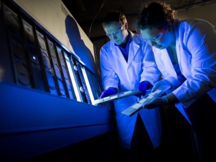 Two students in lab coats exam specimens under UV light