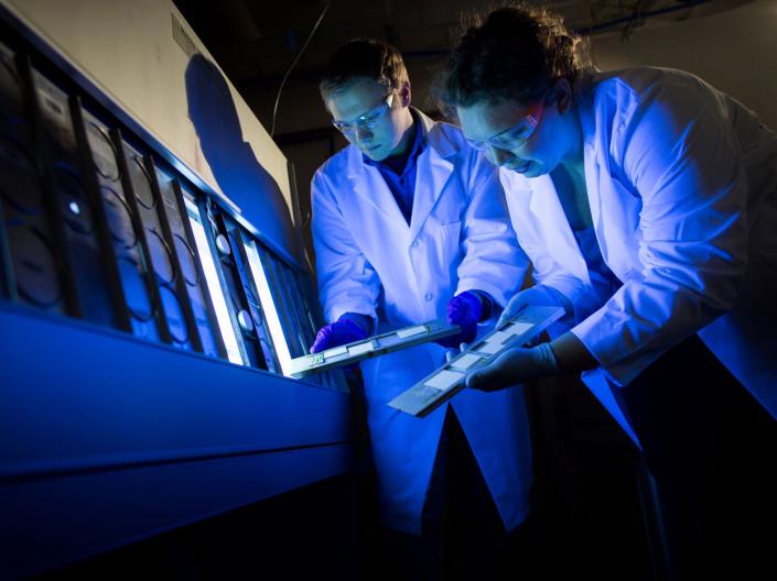 Researchers looking at slides in a lab