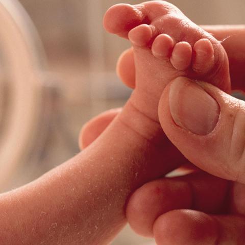Person holding a small babies foot