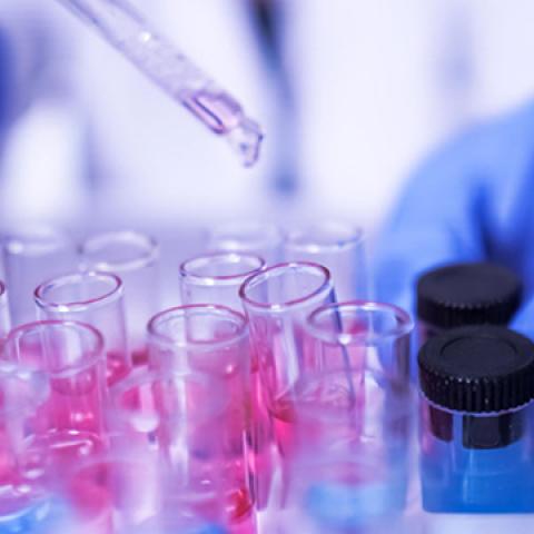 stock image of gloved researcher using pipette to drop liquid into vials