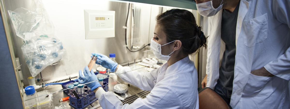 Female researcher working in Lab