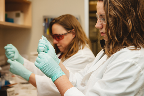 Two women in white lab coats and green sterile gloves work next to each other at a lab bench