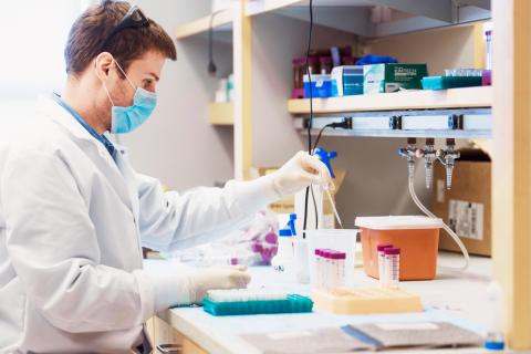 A researcher examines samples in the Digestive Health Research Institute at CWRU School of Medicine.