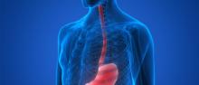 Graphic image of esophagus 