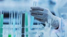stock image of person organizing test tubes