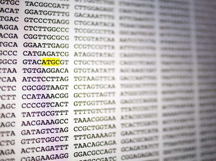 Repeating and random DNA code lines using the letters in black font, C, G, T, A in 10-letter sequences across a white background