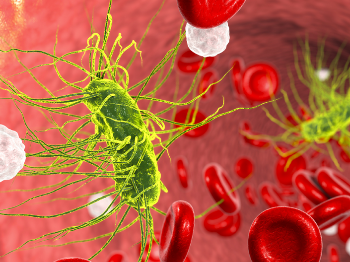 A 3D illustration of Escherichia coli bacterium in blood.