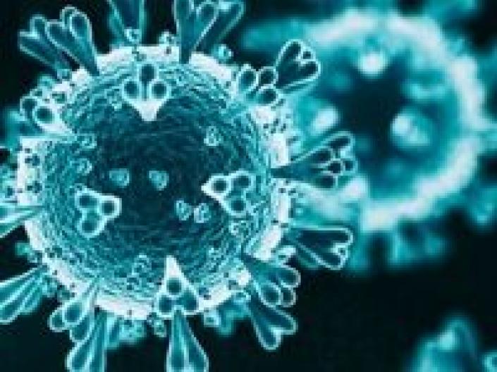 illustration of coronavirus