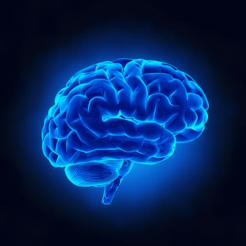 Image of a brain in blue