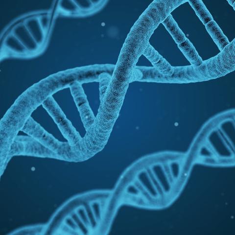 graphic image of DNA