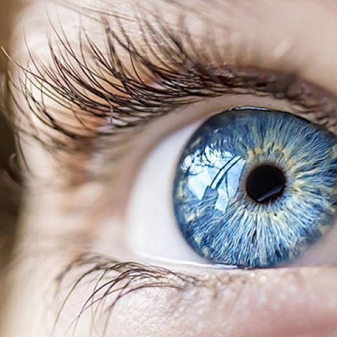 stock image of blue eye