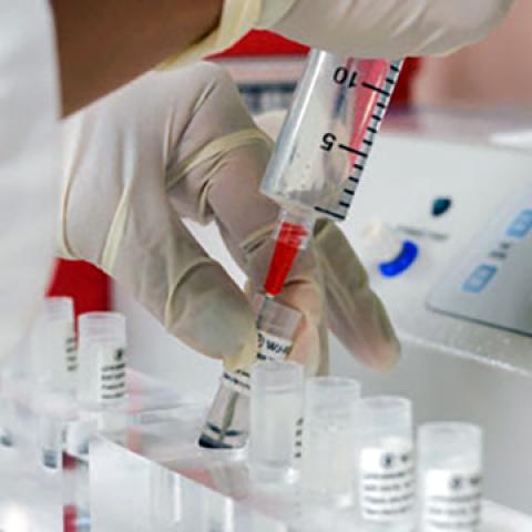 stock lab specimens
