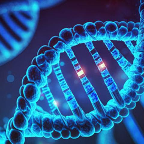 stock image of dna