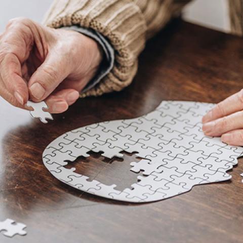 stock image of hands doing a head-shaped puzzle with missing pieces near top of head