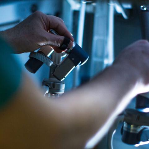close up of hands using surgery tools