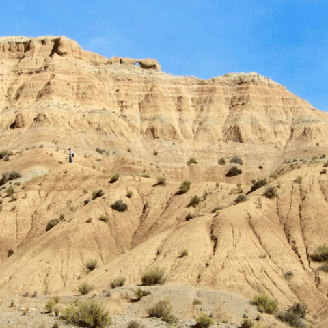  photo of Quebrada Honda Basin landscape courtesy Darin Croft