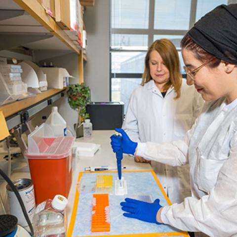 Image of two people working in case comprehensive cancer center lab