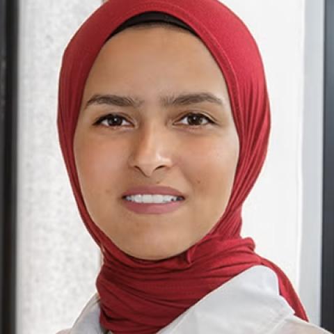Mai Rashwan